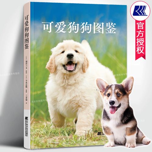 养犬的最高境界是人能与狗唠嗑，你觉得对吗狗坐凳子上听人唠嗑的声音楼下养狗叫不停怎么办 白色