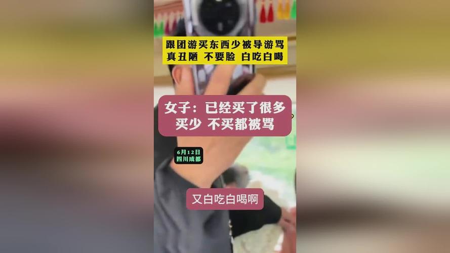 旅游被导游骂了一顿，我怎么应对导游强制消费报警有用吗导游者变更旅游计划应如何安抚游客