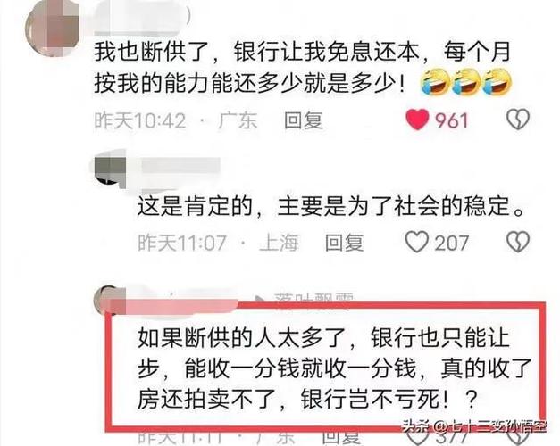 房子断供了，首付能不能拿回来0首付上车后断供怎么办0首付买车月供断供了有什么影响 兰蔻