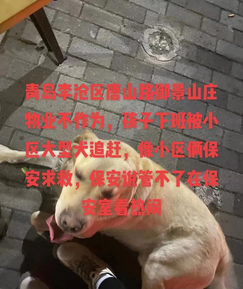 武汉男童在小区内遭两大型犬撕咬，物业：涉事犬未栓绳, 你怎么看刘强东和女儿内马尔被指控性侵，大家怎么看 面霜