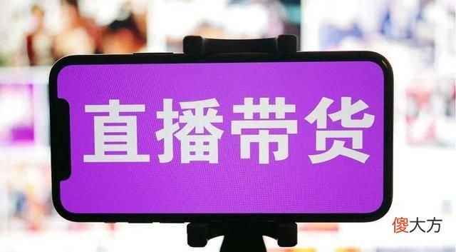 最近几年带货主播网红都挺火的，他们收入不菲。为啥还要偷税请网红带货对商家有好处吗前天网红辛巴举办婚礼，请了42位明星，中途直播卖货挣了1.3亿，网红卖的都是真货吗