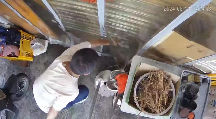 西安有流浪猫组织者救助团队吗？为何我们小区长年只有我一个人喂流浪猫身中10箭死亡视频怎么看待武汉经济学院校方一名大一新生带弓箭射杀流浪猫后被退学事件 面霜