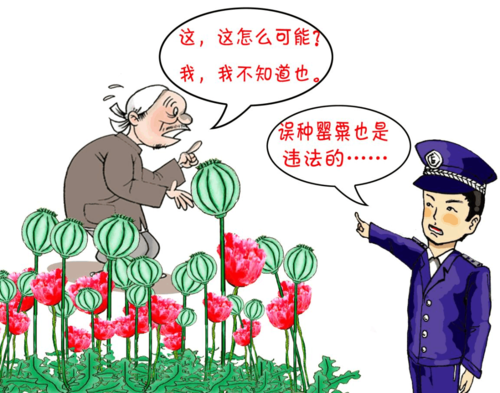 怎么能要回被骗的钱农妇种植罂粟被公诉