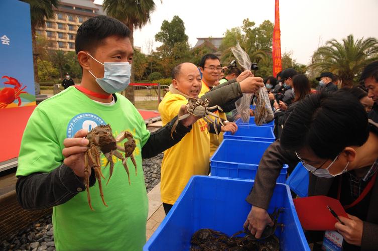 洪湖螺山螃蟹节2020年2020蟹王蟹后中国企业家谁摆过地摊 品牌