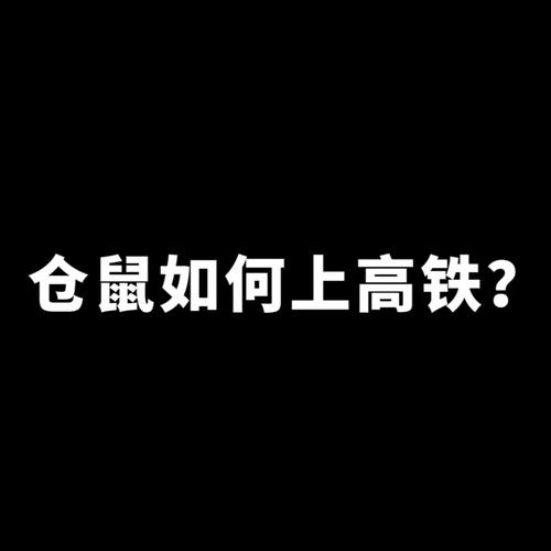 12306高铁过和始有影响吗按下高铁紧急制动坐高铁跟火车，把仓鼠放包里过安检机会不会被查出来，放身上口袋里能带走么 系列