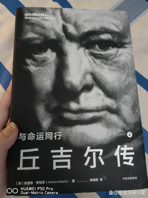 有什么讲权谋的小说首相沉迷手机不社交怎么办丘吉尔为什么没有继承父亲的爵位