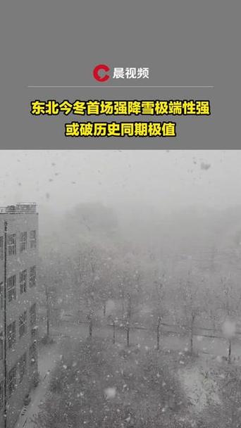 东北强降雪下到发紫什么意思东北的雪要下到发紫的地方吗东北雪下到发紫是什么意思 气垫